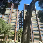 Departamento Nuevo En Condominio La Puntilla Villarrica